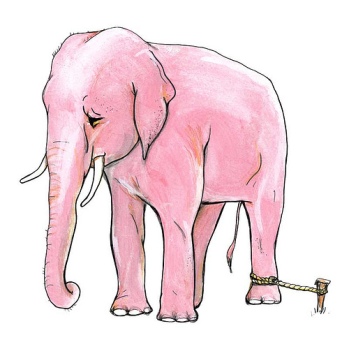 elephant-on-stake
